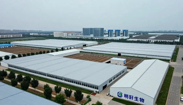 种植技术指导应用基础知识